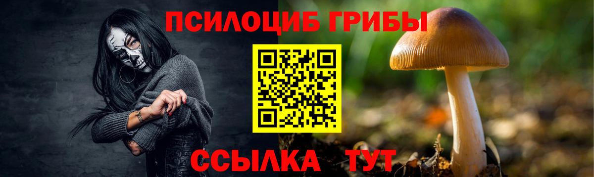 Тверь  Галлюциногенные грибы GOLDEN TEACHER  Вход с VPN 